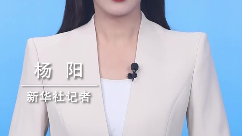 上海数据可视化配色公司